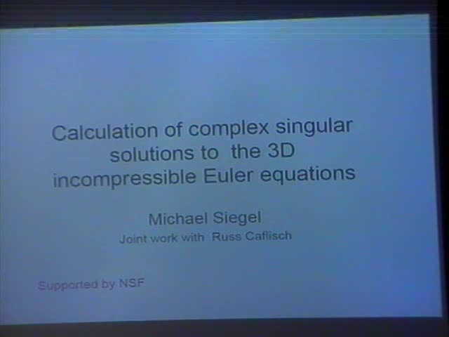 Calculation of complex singular solutions to the 3D incompressible Euler equations Thumbnail