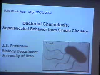 Bacterial Chemotaxis: Sophisticated Behavior from Simple Circuitry Thumbnail