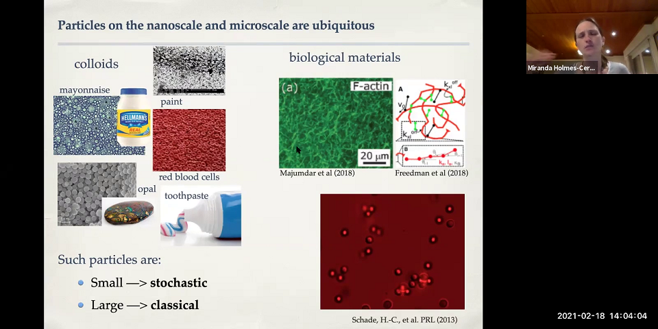 Numerically simulating sticky particles Thumbnail