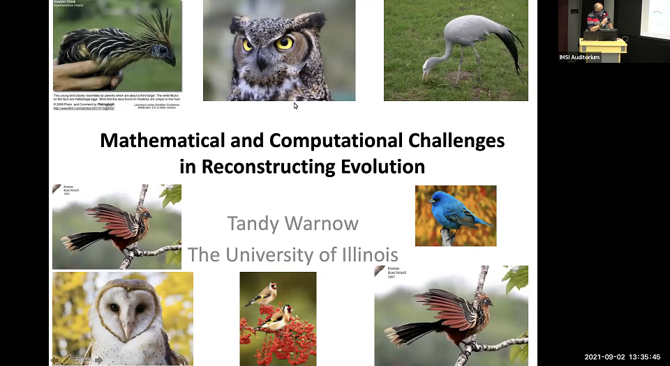 Theory and Practice for Large-scale Phylogeny Estimation Thumbnail