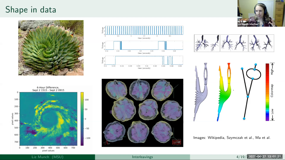 The Truncated Interleaving Distance for Reeb Graphs Thumbnail