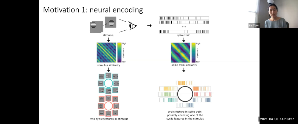 Identifying analogous topological features across multiple systems Thumbnail