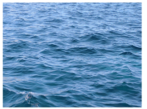 Fluid Dynamics Thumbnail Image