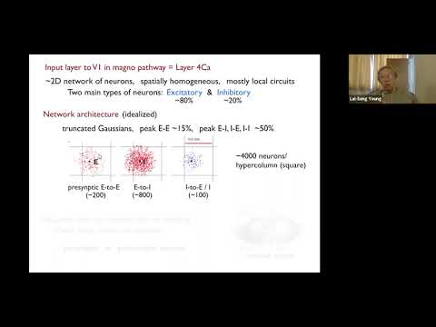 A mathematical approach to some problems in neurobiology Thumbnail