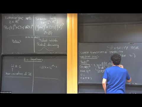 On the stability of functional and geometric inequalities Thumbnail