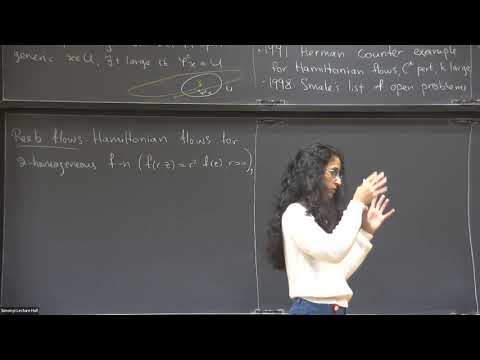 Closing Lemmas in Contact Dynamics and Holomorphic Curves Thumbnail