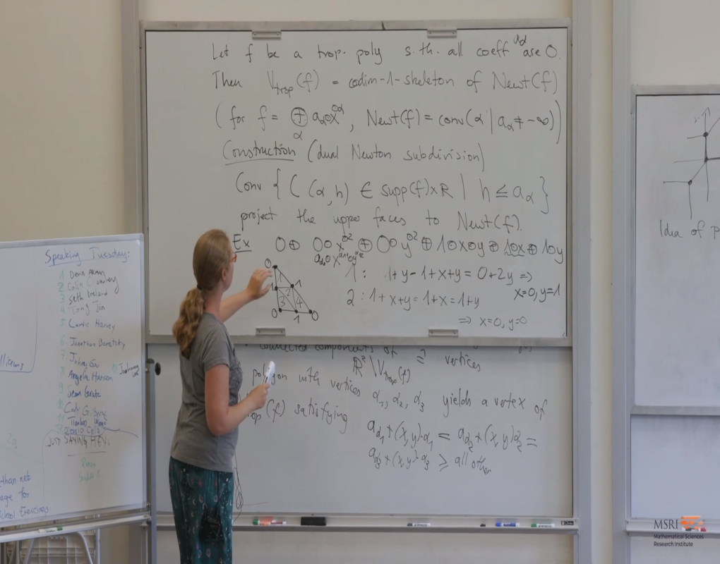 Tropical Geometry Summer School: Lecture 1 Thumbnail