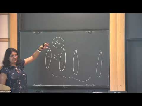 Lower Bounds for Set-Multilinear Branching Programs Thumbnail