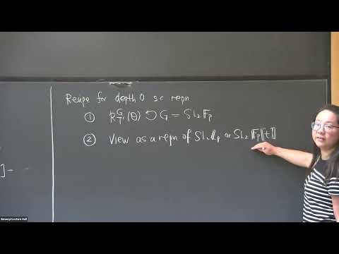 Deligne-Lusztig theory: examples and applications IV Thumbnail