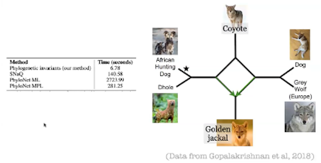 Our Changing World: Algebraic Statistics for Evolutionary Biology and Ecology Thumbnail Image