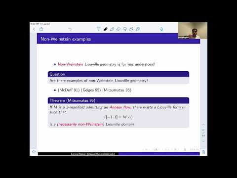 Regularity and Persistence in Non-Weinstein Liouville Geometry via Hyperbolic Dynamics Thumbnail