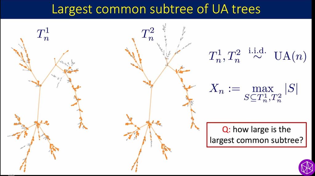 Introductory Workshop: Probability and Statistics of Discrete Structures: The largest common subtree of uniform attachment trees Thumbnail