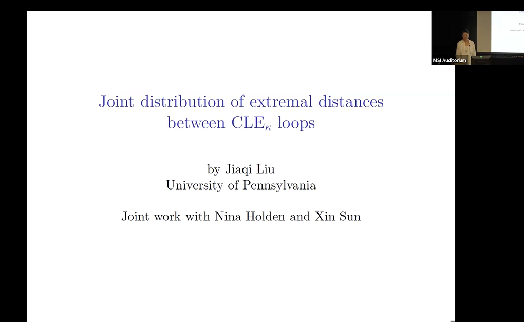 Joint distribution of extremal distances between CLE loops Thumbnail