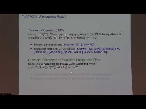 Non-Uniqueness and Flexibility in Two-Dimensional Euler Equations Thumbnail