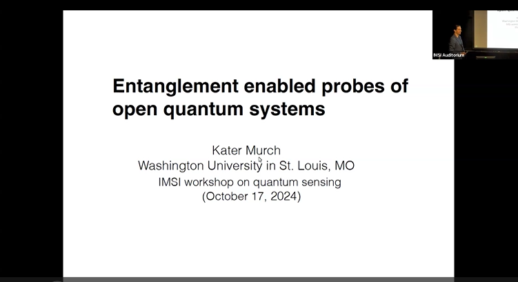 Entanglement enabled probes of open quantum systems Thumbnail