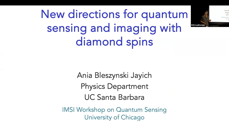 New Directions for Quantum Sensing and Imaging with Diamond Spins Thumbnail