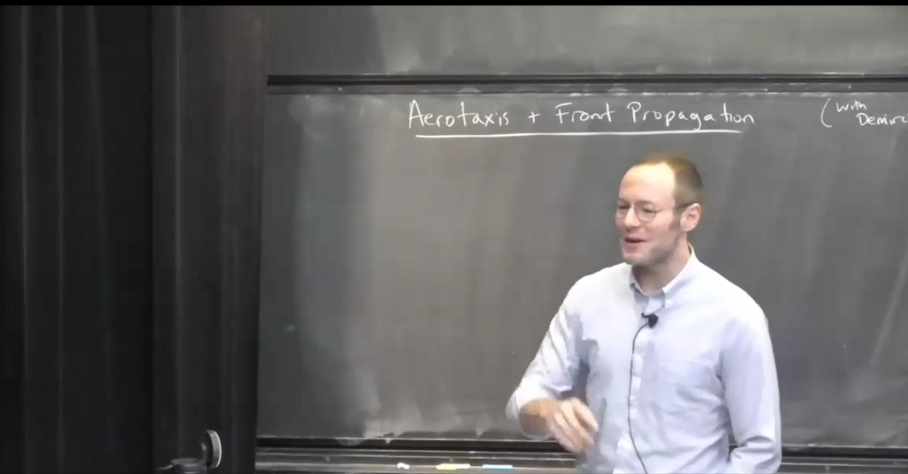 Well-posedness and front propagation for aerotaxis models Thumbnail