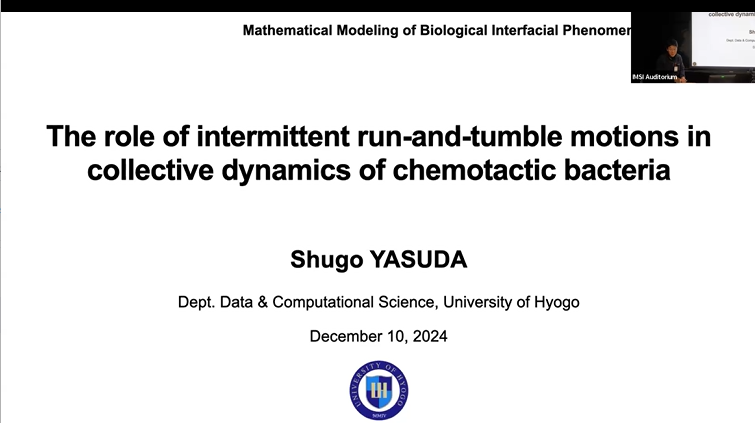 The Role of Intermittent Run-and-Tumble motions in Collective Dynamics of Chemotactic Bacteria Thumbnail