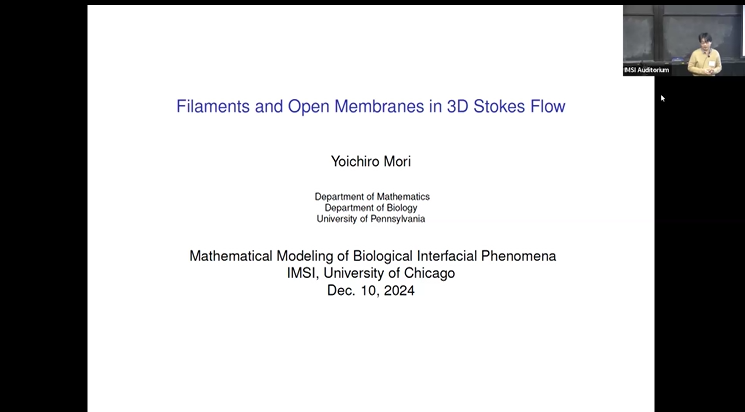 Filaments and Open Membranes in 3D Stokes Flow Thumbnail