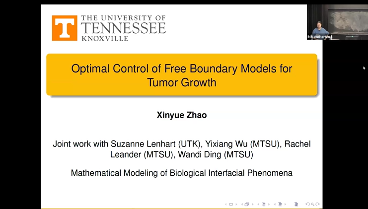 Optimal control of free boundary models for tumor growth Thumbnail