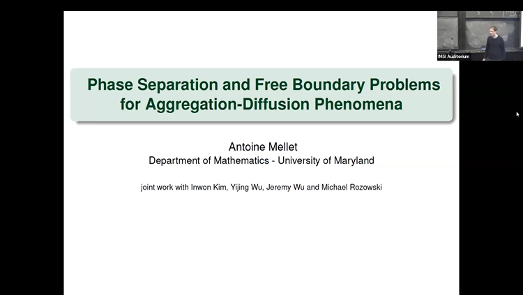 Phase Separation and Free Boundary Problems for Aggregation-Diffusion Phenomena Thumbnail