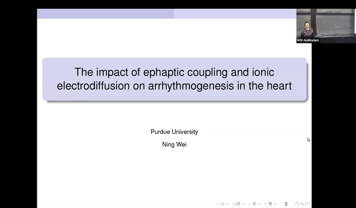 The impact of ephaptic coupling and ionic electrodiffusion on arrhythmogenesis in the heart Thumbnail