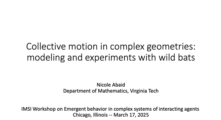 Collective motion in complex geometries: modeling and experiments with wild bats Thumbnail