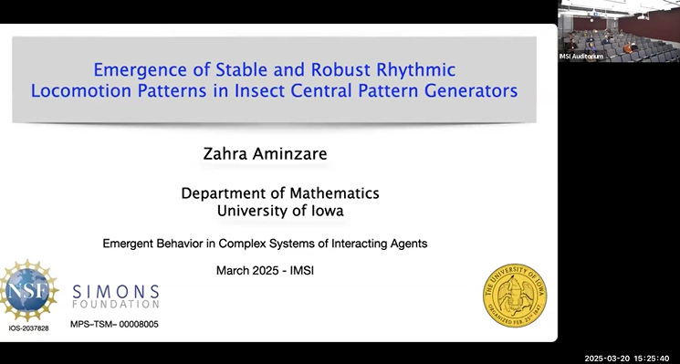 Emergence of Stable and Robust Rhythmic Locomotion Patterns in Insect Central Pattern Generators Thumbnail
