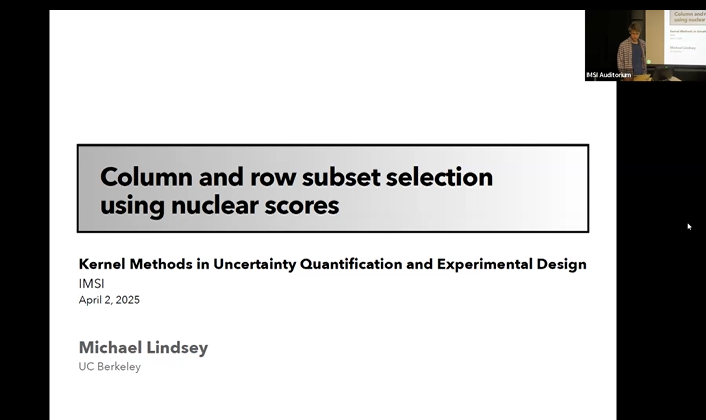 Column and Row Subset Selection using Nuclear Scores Thumbnail