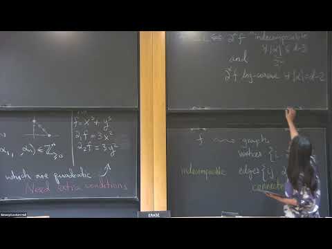 Terng Lecture Course: Log-concavity and Matroids Part 3 Thumbnail