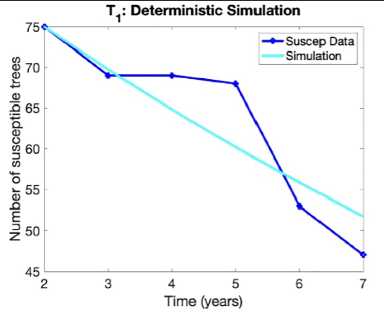 Sustainable plant harvest in fragmented landscapes Thumbnail Image