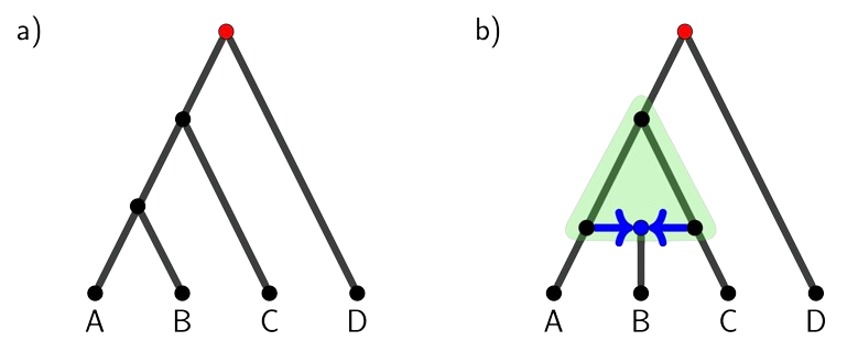 Understanding Reticulate Evolution in the Genomic Era Thumbnail Image