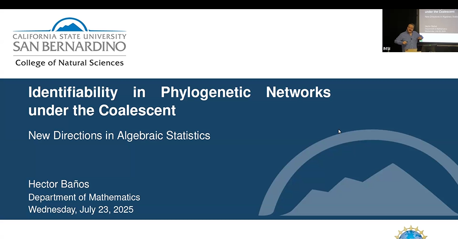 Identifiability in Phylogenetic Networks under the Coalescent: From Simpler to Broader Classes Thumbnail