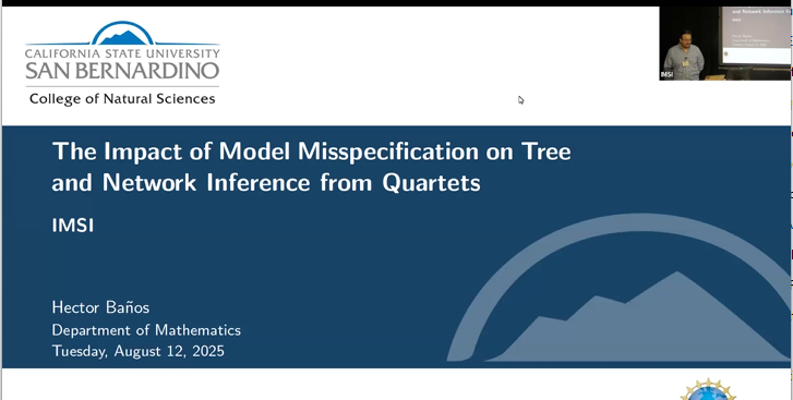 The Impact of Model Misspecification on Tree and Network Inference from Quartets Thumbnail