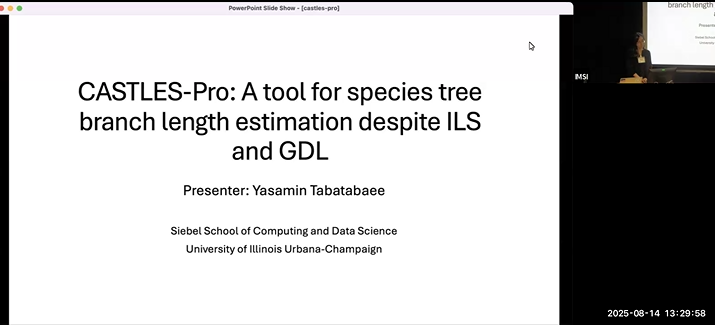 CASTLES-Pro Thumbnail