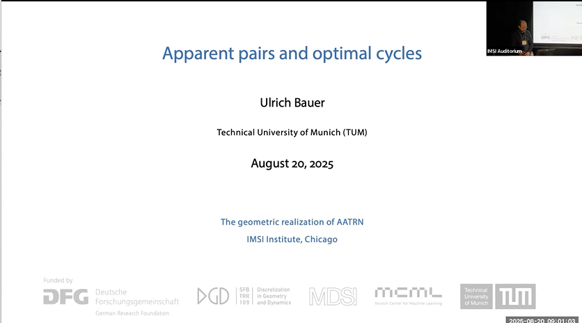Apparent pairs and optimal cycles Thumbnail