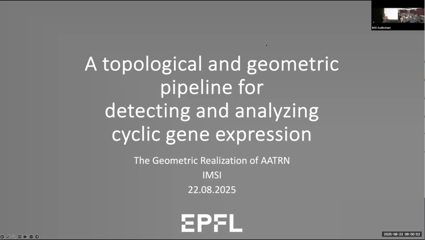 A topological and geometric pipeline for detecting and analyzing cyclic gene expression Thumbnail