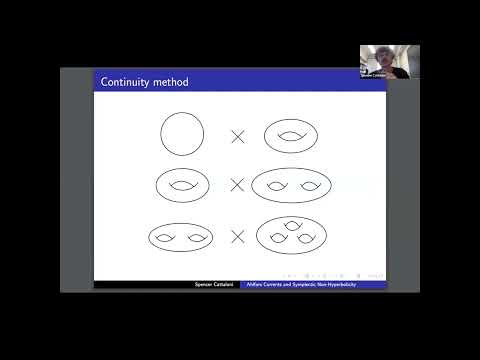 Ahlfors Currents and Symplectic Non-hyperbolicity Thumbnail