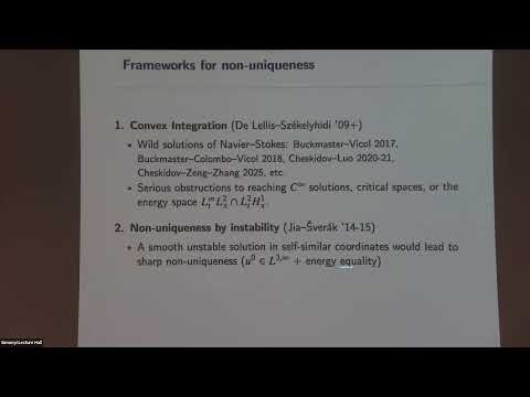 Navier-Stokes Equations at Critical Regularity Thumbnail