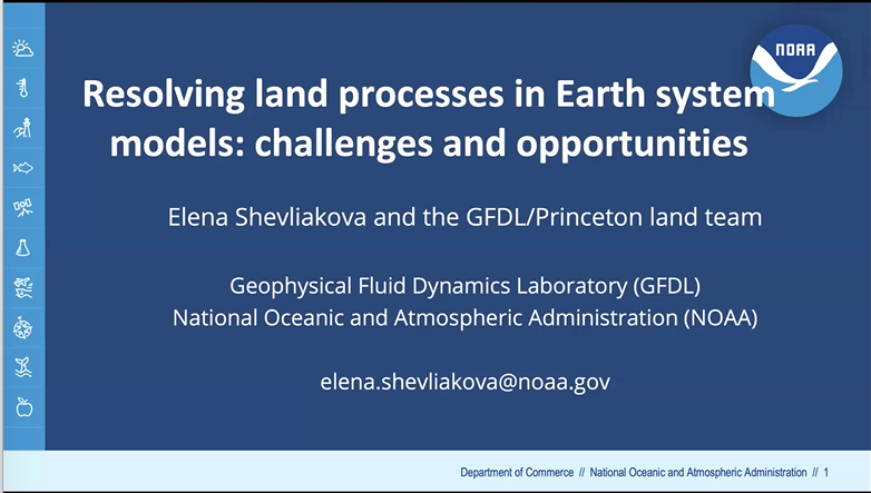 Resolving land processes in Earth system models: challenges and opportunities Thumbnail