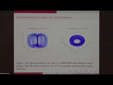 Singularity Formation in 3D Euler and Nonuniqueness in Unforced 3D Navier–Stokes: Computer-Assisted Proofs Thumbnail